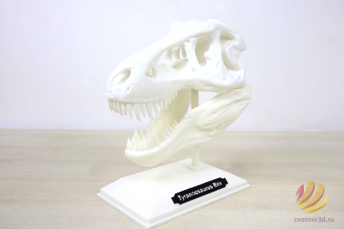 wanhao_d12 300_45.jpg wanhao_d12 300_45.jpg