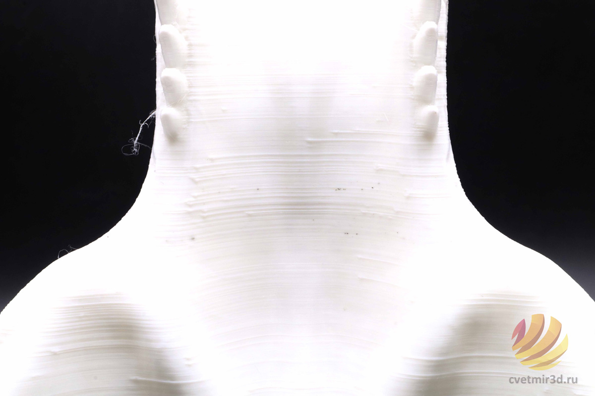 wanhao_d12 300_41.jpg wanhao_d12 300_41.jpg