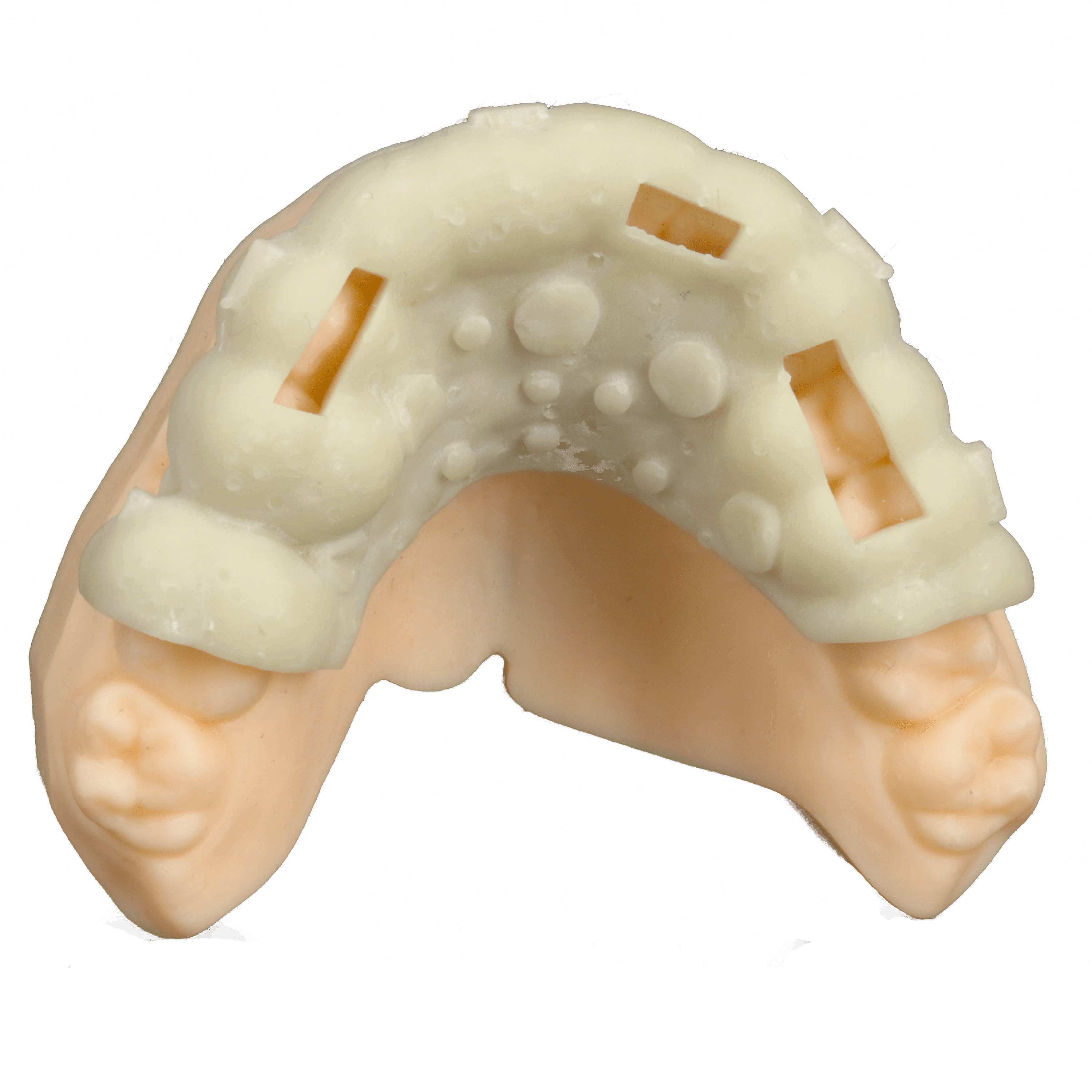 Модель из Harz Labs Dental Ro