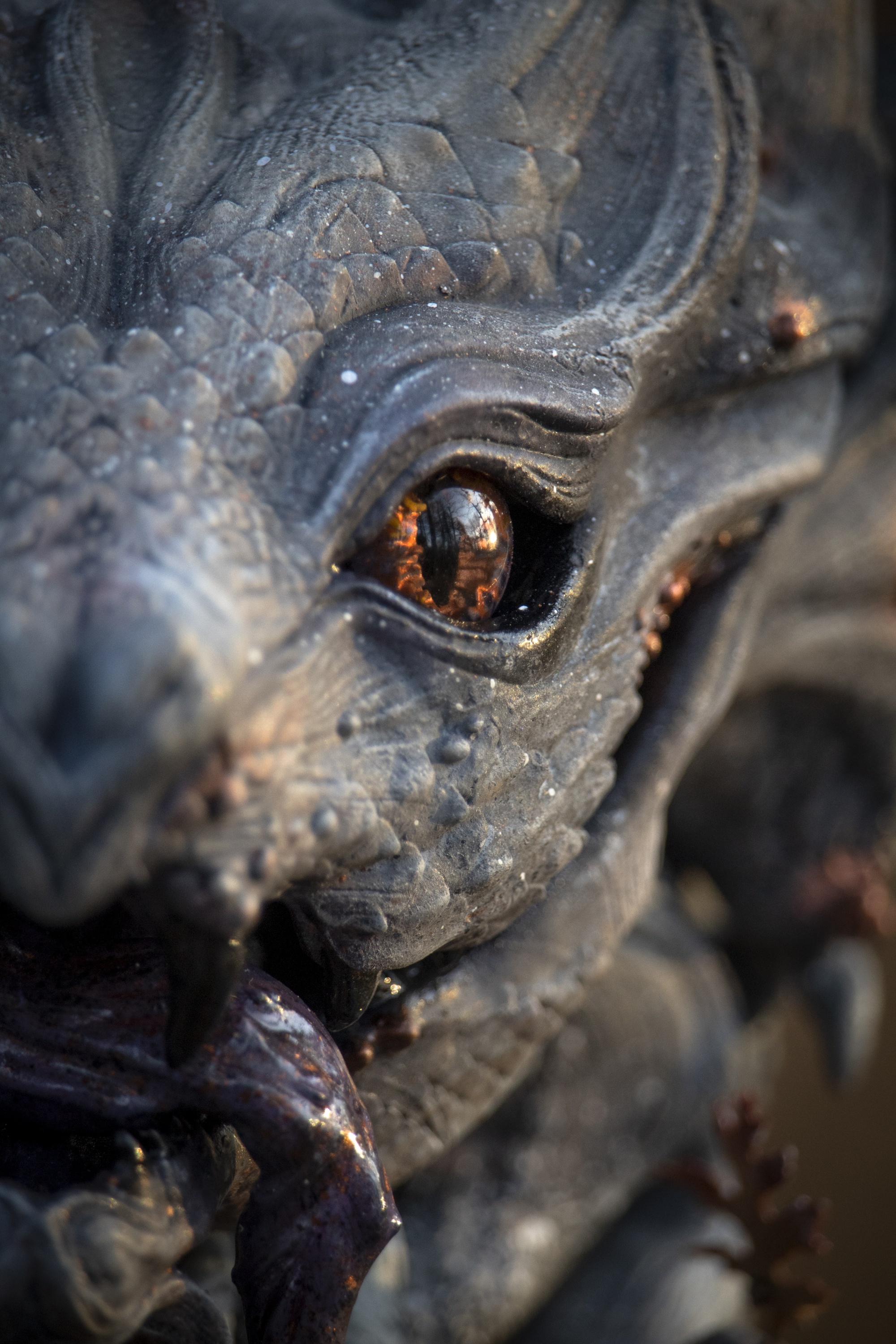 3D Print Eyes 3.jpg 3D Print Eyes 3.jpg