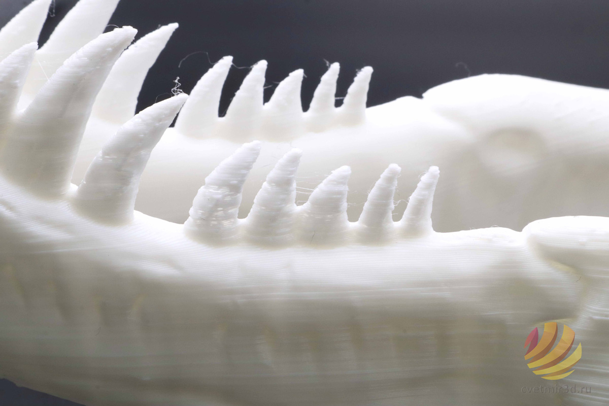 wanhao_d12 300_37.jpg wanhao_d12 300_37.jpg