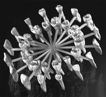 3D принтер 3DLAM Mini PRO